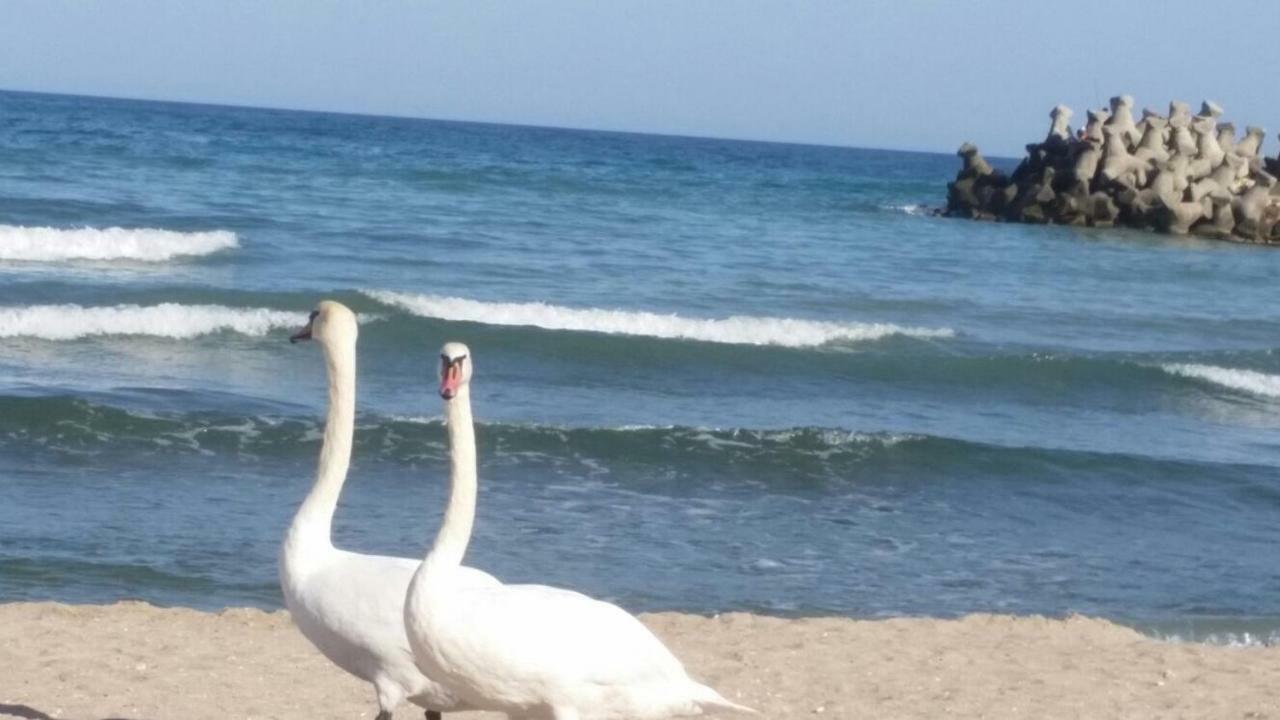 Sara Sea View Olimp Διαμέρισμα Εξωτερικό φωτογραφία